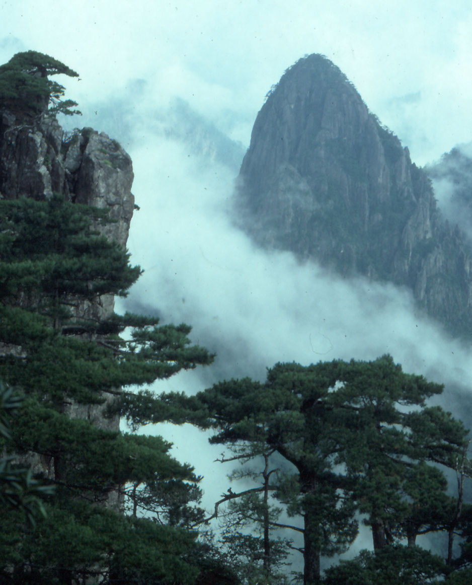 Pines and a granite peak emerging through mist on Huangshan.