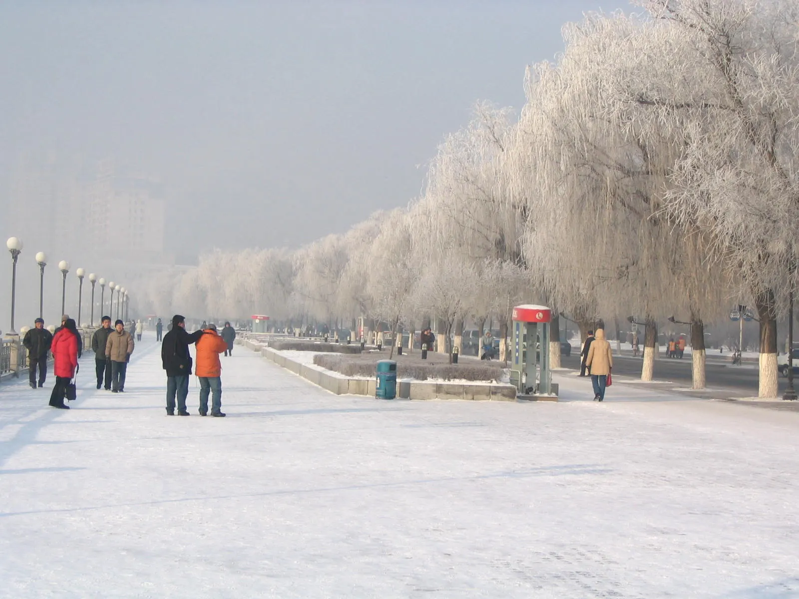 Rime-covered willows lining the Songhua riverbank at Jilin on a white winter morning.