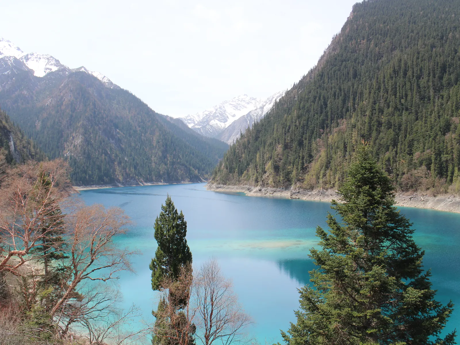 Long Lake in Jiuzhaigou: snow peaks and dark conifer forests ringing a high alpine lake of glassy water.