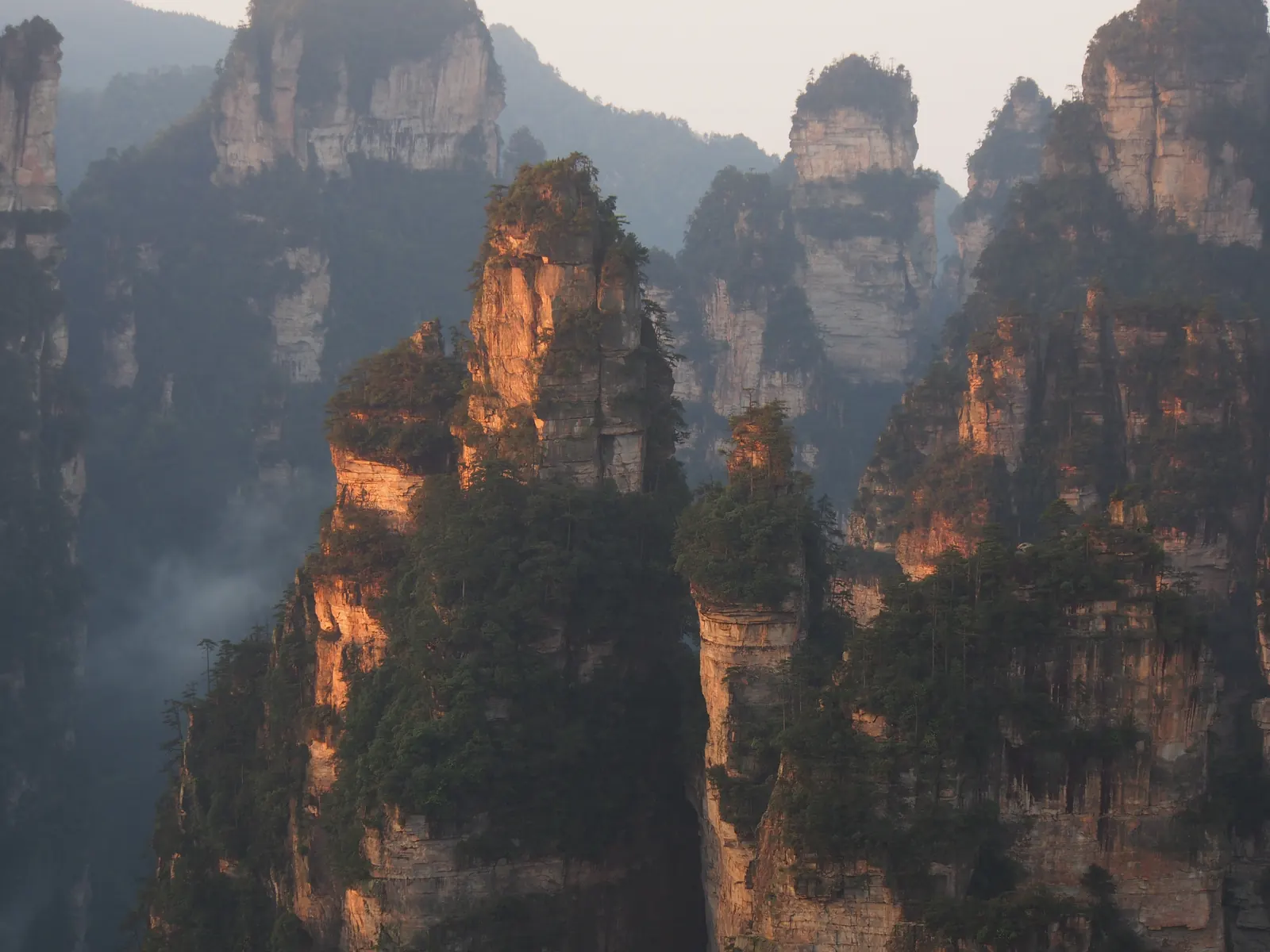 The quartz-sandstone pillars of Zhangjiajie at dawn, rising tier on tier out of low valley mist.